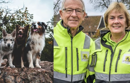 3 honden gevonden door dierenambulance