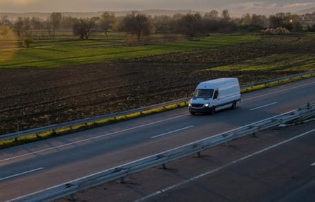 45 Hund in einem Kleintransporter entdeckt