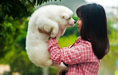 Padrona che prende in braccio il suo cane bianco