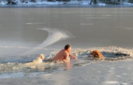 Mann und zwei Hunde im zugefrorenen See