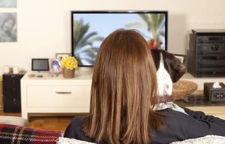 pies ogląda telewizję