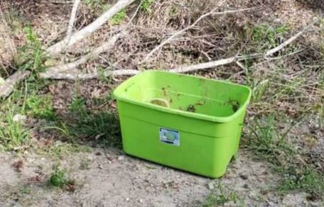 Trauriger Fund in einer Plastikbox