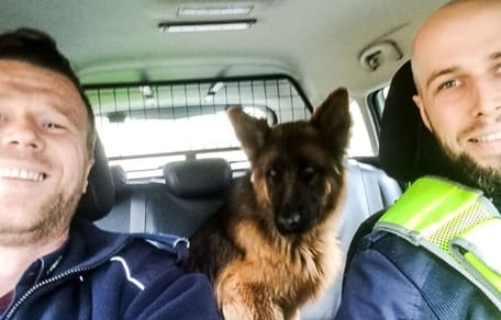 Polizisten mit Hund im Auto