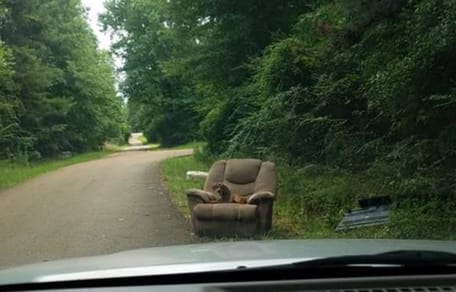 Alter Sessel im Wald