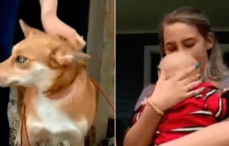 Hund und Mama mit einem Neugeborenen