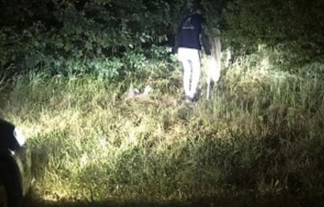 Outdoor rescue of cat family