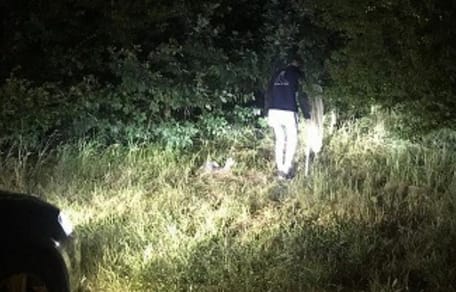 uomo cerca gattini