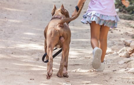 Mädchen mit Hund im Wald