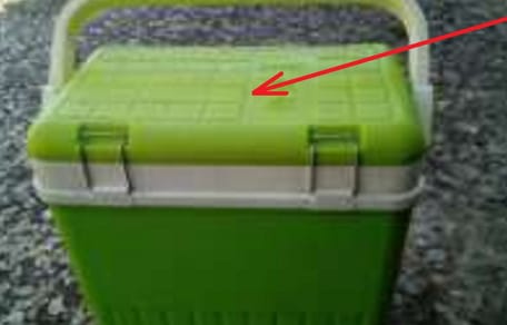 cachorros abandonados dentro nevera playa