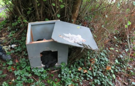 Hundehütte im Wald