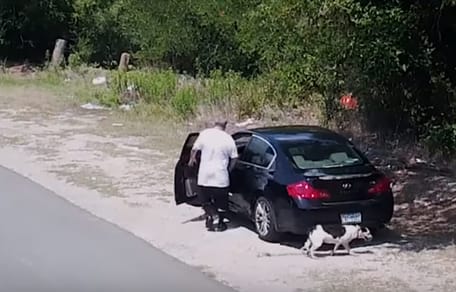 dog being abandondoned on side of road