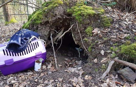 Höhle im Wald und Katzentransportbox