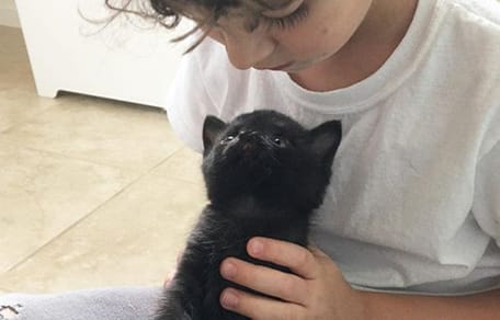 black kitten sitting on child's lap