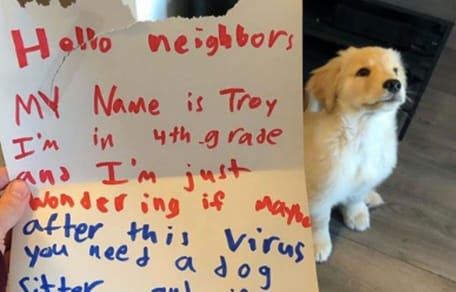 golden retriever puppy sitting behind hand written letter