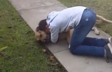 Boy reunited with dog