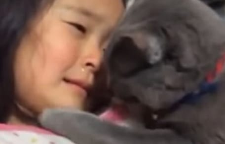 Gesicht von kleinem Mädchen, daneben graue Katze