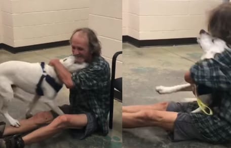 man sitting on the floor hugging mixed breed dog