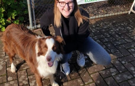 brown border collie standing next to smiling owner