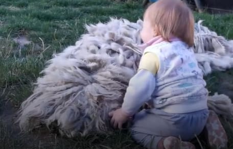 Weißer Hund und Baby auf Wiese