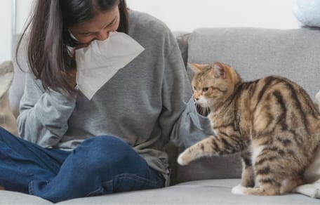 ragazza allergica cerca rimedi per l'allergia ai gatti