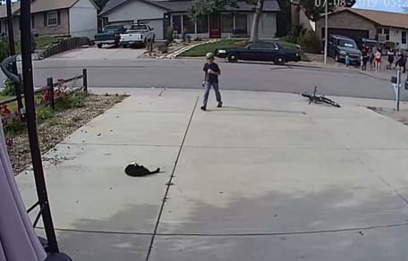 Der Nachbarsjunge und die Katze.