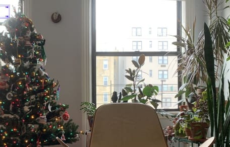 Kot_ukryty_na_obrazku