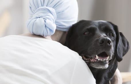 perro labrador negro abraza a una mujer con un panuelo en la cabeza