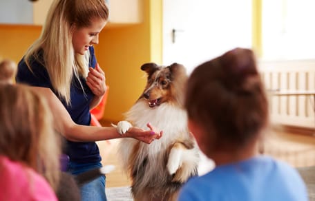 intervenciones asistidas con animales