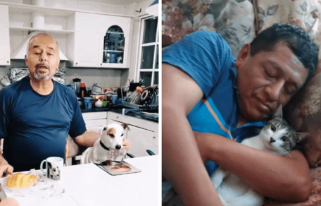 dia del padre con perro y gato en tiktok
