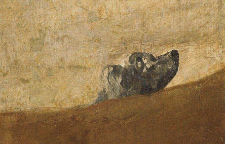 detalle cuadro perro semihundido goya museo prado