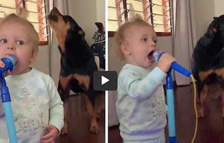 bebe y rottweiler cantando