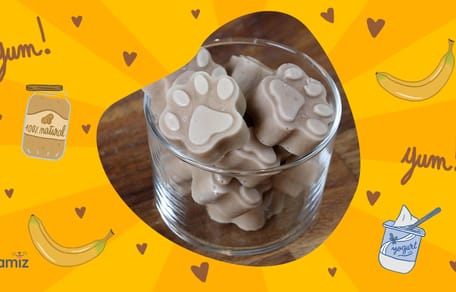 helados de mantequilla de cacahuete perros