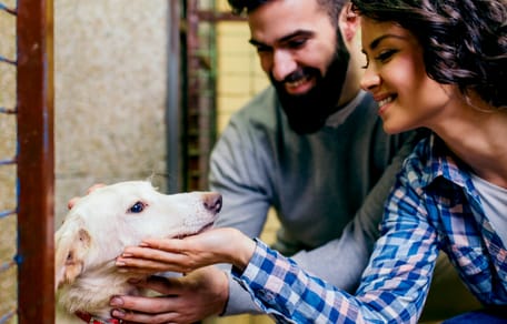 Cane appena adottato da una coppia