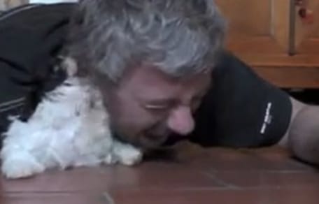 YouTube screenshot/ bebe shih tzu en follie