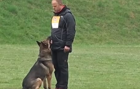 addestratore cinofilo e pastore tedesco