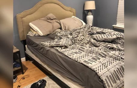 Hund im Schlafzimmer