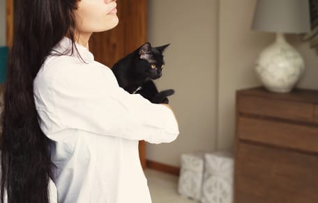 gatto appiccicoso in braccio alla padrona