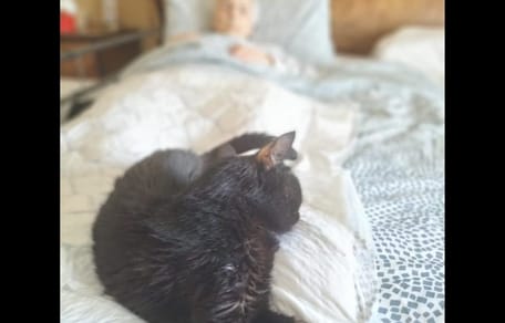 donna anziana e gatto anziano