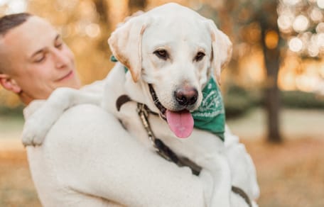 cane in braccio al padrone