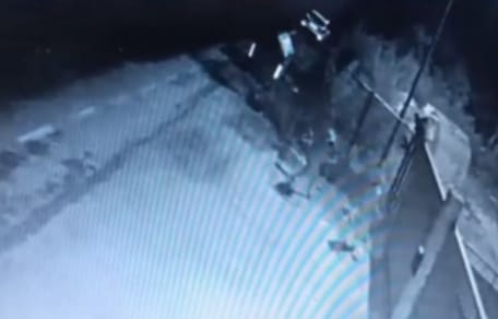 telecamera di sicurezza riprende due donne con cane