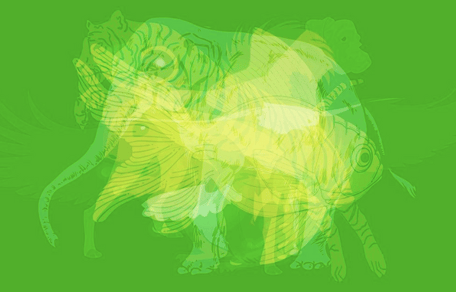 juego visual animales