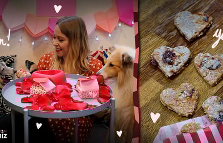 receta San Valentín para perros
