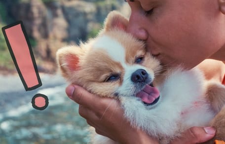 ¿Por qué quiero tantísimo a mi perro?