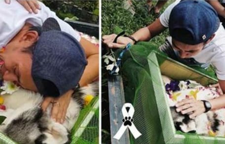 Szenen von Shadows Beerdigung