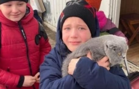 Kind hält Katze in den Armen