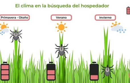 como desparasitar a un perro