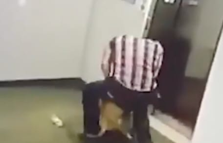 Mann und Spitz vor dem Aufzug