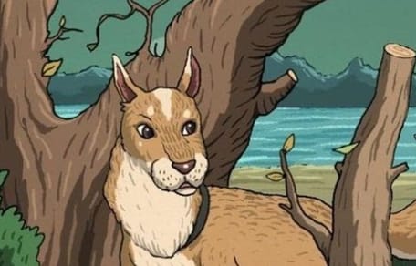 gato escondido en el dibujo