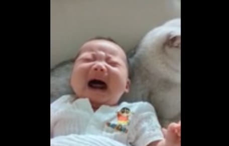 Weinendes Baby