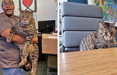 Eine Tierpflegerin präsentiert BeeJay